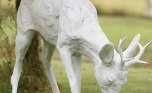 7595A550-63F0-4D3B-854E-F86C36233322