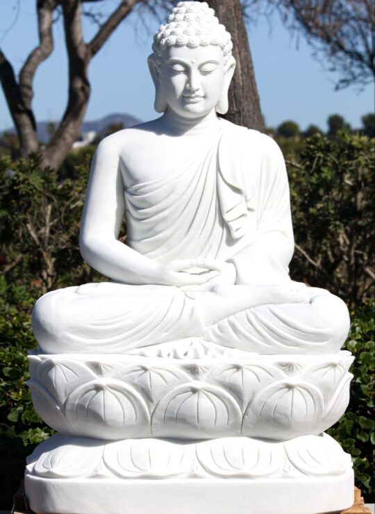 WhatsApp Image 2026-02-19 at 4.43.58 PM